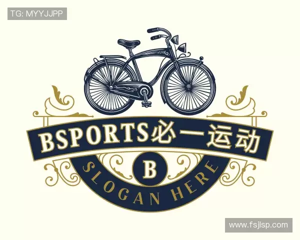 介绍bsports